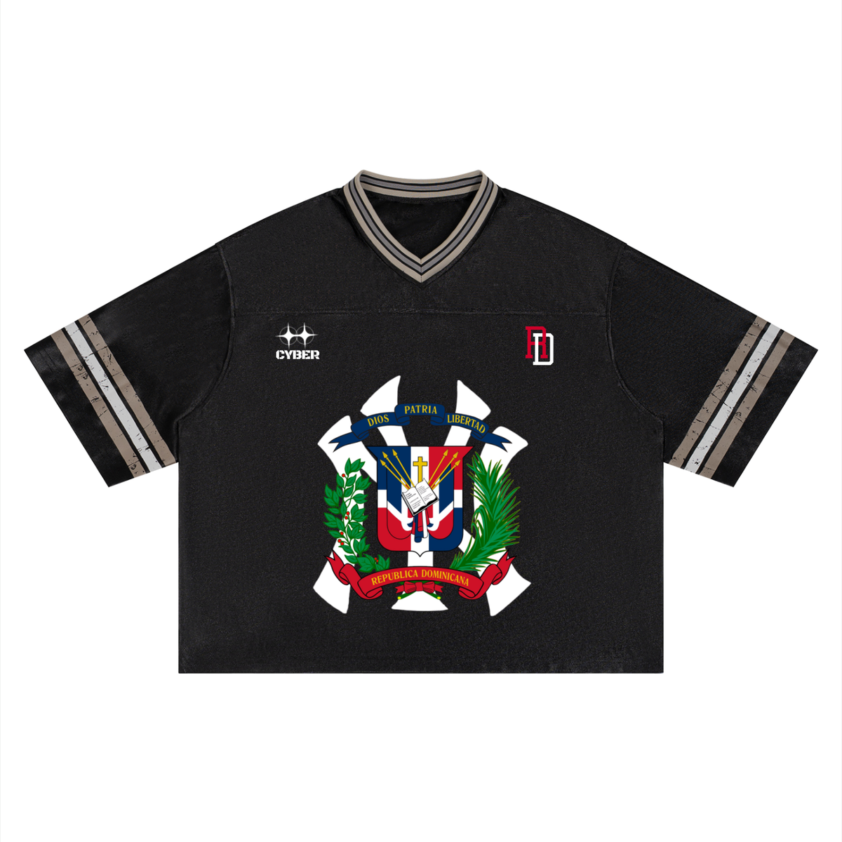 Cyber DR/NY Jersey