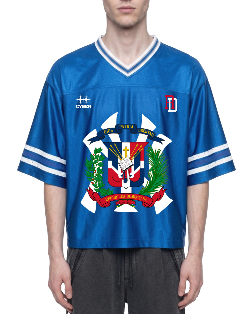 Cyber DR/NY Jersey