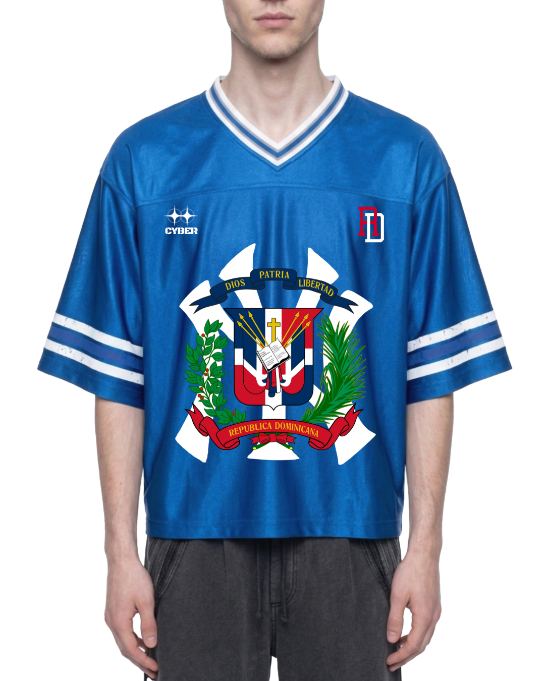 Cyber DR/NY Jersey